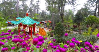 PHILIPPINEN MAGAZIN - BLOG - Baguio Botanical Garden