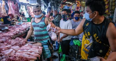 PHILIPPINEN MAGAZIN - NACHRICHTEN - Preisstopp für Schweine- und Hühnerfleisch angestrebt