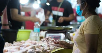 PHILIPPINEN MAGAZIN - NACHRICHTEN - Preisobergrenze für Schweine- und Hühnerfleisch