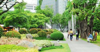 PHILIPPINEN MAGAZIN - MEIN SAMSTAGSTHEMA - TOP TOURISTENSPOTS IN LUZON - Ayala Triangle Gardens