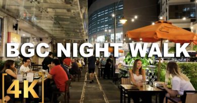 PHILIPPINEN MAGAZIN - VIDEOSAMMLUNG - BGC ist fast wieder normal – Nachtspaziergang