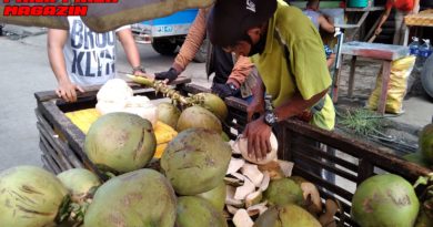 PHILIPPINEN MAGAZIN - FOTO DES TAGES - Erfrischung durch die Kokosnuss