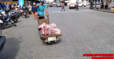 PHILIPPINEN MAGAZIN - FOTO DES TAGES - Fleischtransport mit der Schubkarre über die Straße Foto von Sir Dieter Sokoll für PHILIPPINEN MAGAZIN