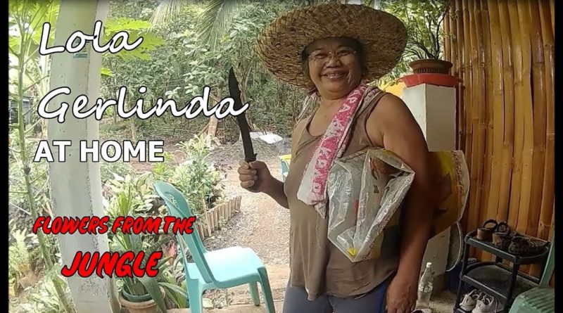 PHILIPPINEN MAGAZIN - Oma Gerlinda holt Pflanzen aus dem Dschungel Foto + Video von Sir Dieter Sokoll für PHILIPPINEN MAGAZIN