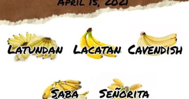 DER PHILIPPINISCHE EXPAT KLUB - GRUPPE - FLORA & FAUNA - Bananentag - Tag der Banane