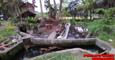 PHILIPPINEN MAGAZINN - FOTO DES TAGES - Wasserverteiler-System für Reisfelder Foto von Sir Dieter Sokoll für PHILIPPINEN MAGAZIN