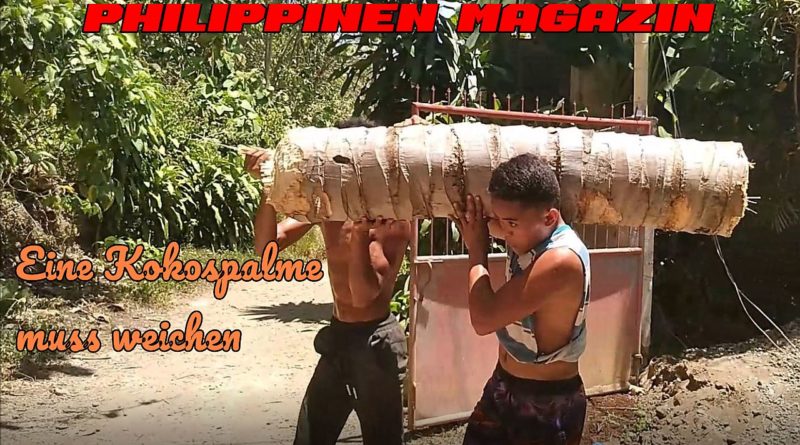 PHILIPPINEN MAGAZIN - VIDEOKANAL - Eine Kokospalme muss weichen Foto & Video von Sir Dieter Sokoll für PHILIPPINEN MAGAZIN