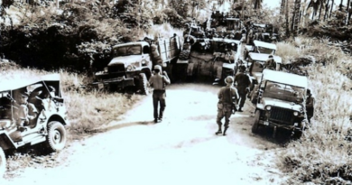 PHILIPPINEN MAGAZIN - NACHRICHTEN - 84 Bomben aus dem 2. Weltkrieg in Davao gefunden