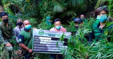 PHILIPPINEN MAGAZIN - NACHRICHTEN - Marihuanaplantage in Asturias vernichtet