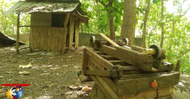 PHILIPPINEN MAGAZIN - FOTO DES TAGES - Stillleben mit Holzhütte und Holzkarre Foto von Sir Dieter Sokoll