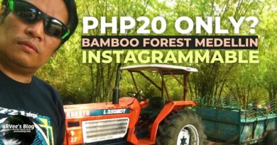 PHILIPPINEN MAGAZIN - VIDEOSAMMLUNG - Im Bambuswald von Medellin Cebu