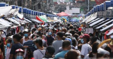 PHILIPPINEN MAGAZIN - NACHRICHTEN - Gesetzgeber fordern eine Untersuchung der OCTA-Berechtigungsnachweise