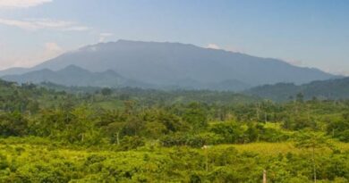 PHILIPPINEN MAGAZIN - NACHRICHTEN - Regierung unternimmt Schritte zum Schutz des Mantalingahan-Gebirges