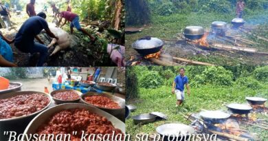 PHILIPPINEN MAGAZIN - VIDEOSAMMLUNG - Festmahl kochen zur Hochzeit in der Provinz