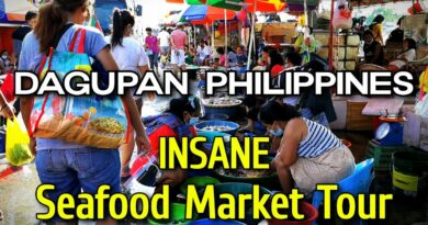 PHILIPPINEN MAGAZIN - VIDEOSAMMLUNG - Verrückter Meeresfrüchtemarkt in Dagupan