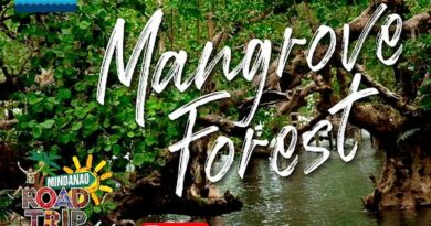 SIGHTS OF CAGAYAN DE ORO CITY & NORTHERN MINDANAO - Mangrove Forest in Camiguin