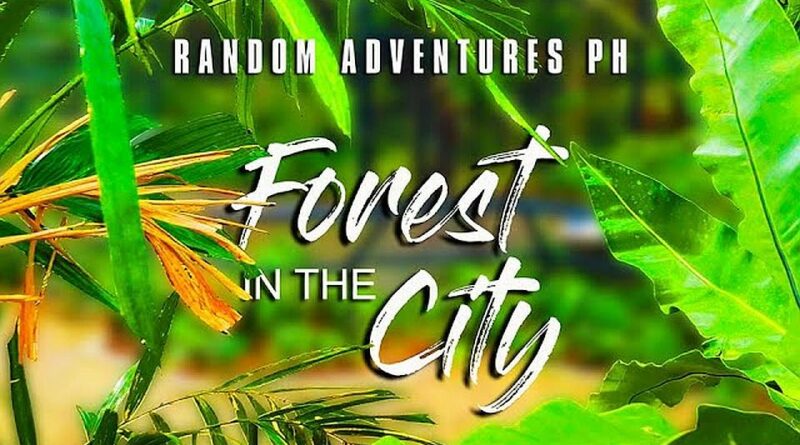 PHILIPPINEN MAGAZIN - VIDEOSAMMLUNG - Ein Wald in der Stadt