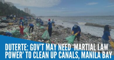 PHILIPPINEN MAGAZIN - NACHRICHTEN - 'Kriegsrecht zur Reinigung der Bucht von Manila erforderlich'