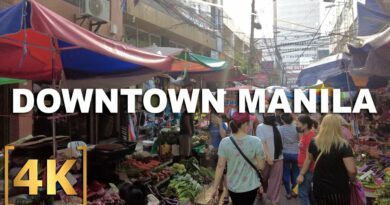 PHILIPPINEN MAGAZIN - VIDEOSAMMLUNG - Die Philippinen im Video - Erkundung von Downtown Manila | Quiapo, Binondo, Recto, Divisoria