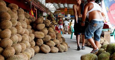 PHILIPPINEN MAGAZIN - REISEN - LEITFADEN ZU - Leitfaden zu Durian