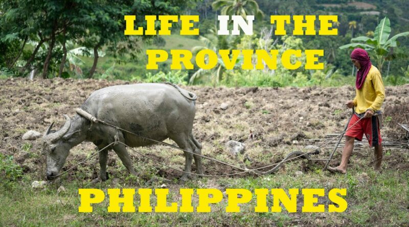 PHILIPPINEN MAGAZIN - VIDEOSAMMLUNG - Philippinisches Landleben