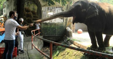 PHILIPPINEN MAGAZIN - NACHRICHTEN - Der neue Zoo in Manila wird Weltklasse