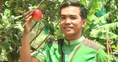 PHILIPPINEN MAGAZIN - NACHRICHTEN - College-Student pflanzt erfolgreich ersten Apfelbaum in Davao del Sur