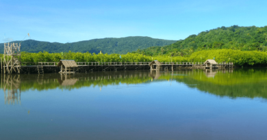 PHILIPPINEN MAGAZIN - DER BLOG - Batalay Mangrove Eco Park