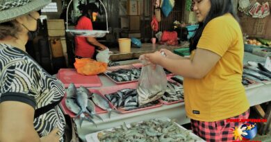 PHILIPPINEN MAGAZIN - FOTO DES TAGES - Beim Fischhändler auf der Marktstraße Foto von Sir Dieter Sokoll
