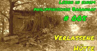 PHILIPPINEN MAGAZIN - VIDEOKANAL - Leben in einem philippinischen Barangay # 005 - Verlassene Hütte Foto & Video von Sir Dieter Sokoll
