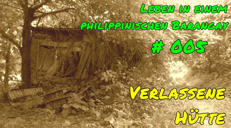 PHILIPPINEN MAGAZIN - VIDEOKANAL - Leben in einem philippinischen Barangay # 005 - Verlassene Hütte Foto & Video von Sir Dieter Sokoll
