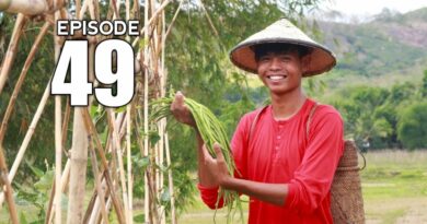 PHILIPPINEN MAGAZIN - VIDEOSAMMLUNG - Anpflanzen von Stangenbohnen und kochen von Pinakbet | Vom Saatgut auf den Tisch
