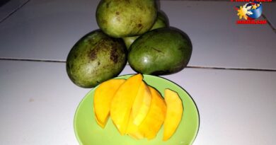 PHILIPPINEN MAGAZIN - FOTO DES TAGES - Erfrischender Fruchtimbiß Foto von Sir Dieter Sokoll