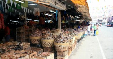 PHILIPPINEN MAGAZIN - TAGESTHEMA - Auf dem Taboan Public Market