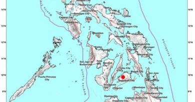 PHILIPPINEN MAGAZIN - NACHRICHTEN - Stärke 4,2 Erdbeben auf Bohol