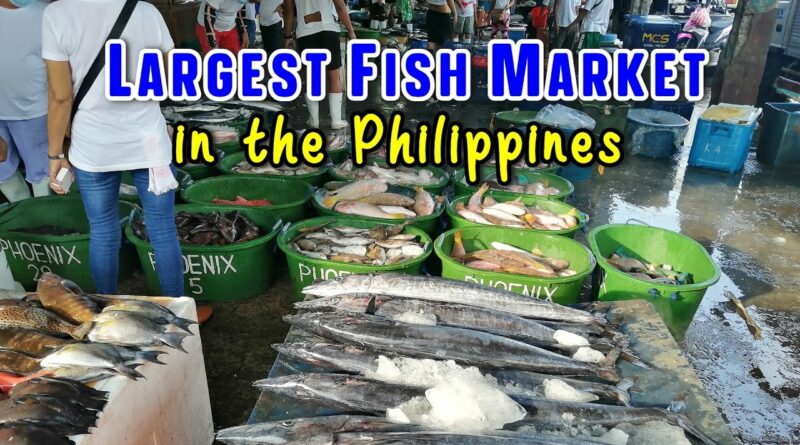 PHILIPPINEN MAGAZIN - VIDEOSAMMLUNG - Navotas Fischereihafen in Metro Manila