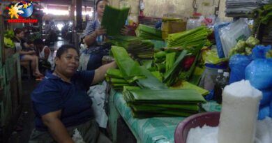 PHILIPPINEN MAGAZIN - FOTO DES TAGES - Spezialisierte Markthändlerin für Bananenblätter