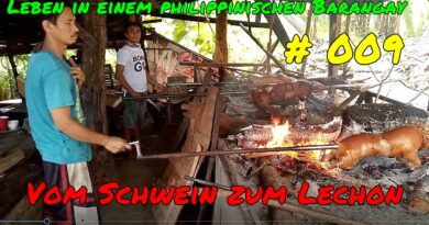 PHILIPPINEN MAGAZIN - VIDEOKANAL - Leben in einem philippinischen Barangay # 009 - Vom Schwein zum Lechon Foto und Video von Sir Dieter Sokoll