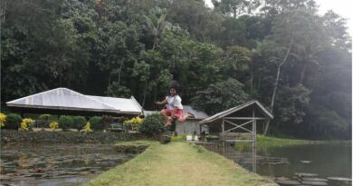 PHILIPPINEN MAGAZIN - REISEN - ORTE - Touristische Ortsbeschreibung für Damulog