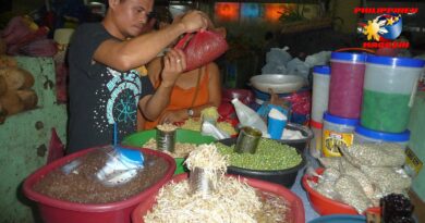 PHILIPPINEN MAGAZIN - FOTO DES TAGES - Marktstand mit vorbereiteten Zutaten