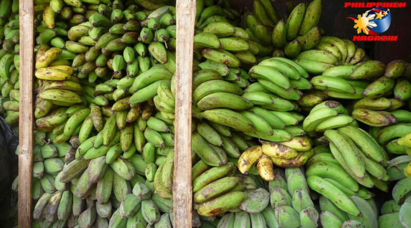 PHILIPPINEN MAGAZIN - BLOG - Alles Banane? Ja, aber Cavendish! Foto von Sir Dieter Sokoll