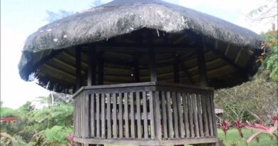 PHILIPPINEN MAGAZIN - VIDEOSAMMLUNG - Golden Hills Farm, Salucot, Talakag, in Bukidnon