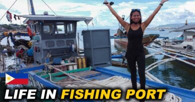 PHILIPPINEN MAGAZIN - VIDEOSAMMLUNG - Das Leben im Fischereihafen