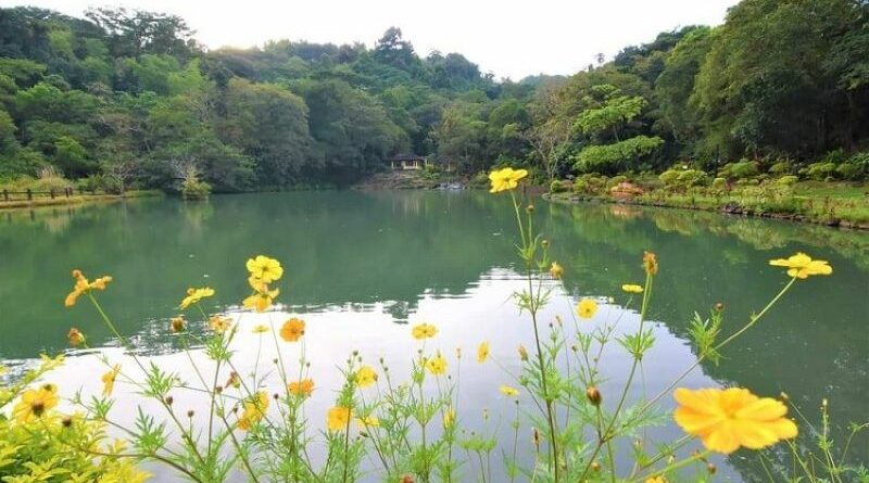 PHILIPPINEN MAGAZIN - NACHRICHTEN - Mambukal als Resort und Naturschutzgebiet umbenannt
