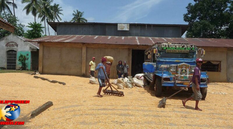 PHILIPPINEN MAGAZIN - BLOG - In einer Maismühle auf dem Land Foto von Sir Dieter Sokoll