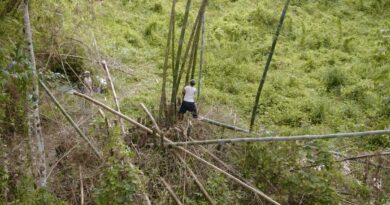PHILIPPINEN MAGAZIN - FEUILLETON - Blinder Mann in Zamboanga del Norte verdient seinen Lebensunterhalt, indem er auf einen Berg klettert und Bambus für die Herstellung von Spardosen erntet
