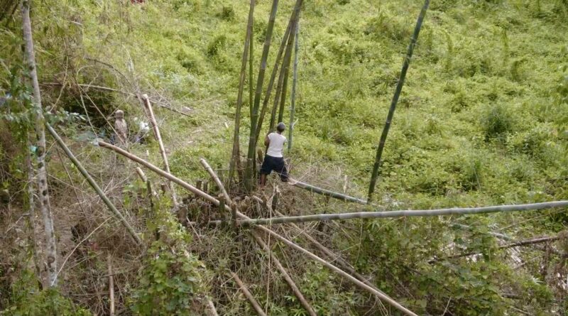 PHILIPPINEN MAGAZIN - FEUILLETON - Blinder Mann in Zamboanga del Norte verdient seinen Lebensunterhalt, indem er auf einen Berg klettert und Bambus für die Herstellung von Spardosen erntet