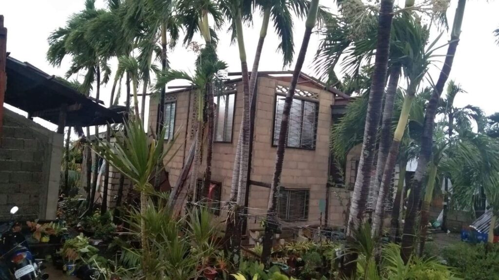 PHILIPPINEN MAGAZIN - NACHRICHTEN - Auswirkungen von Taifun Odette auf Bohol