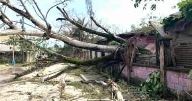 PHILIPPINEN MAGAZIN - NACHRICHTEN - Taifunopfer in Palawan suchen Hilfe