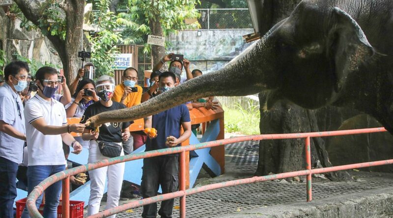 PHILIPPINEN MAGAZIN - NACHRICHEN - "Neuer" Zoo in Manila wiedereröffnet